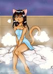  brown_eyes cat feline female fio fio_(character) hair hot_spring mammal night sitting solo steam towel water 