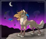  canine female feral green_eyes mammal moon night pigtails solo standing wind wolf wolfy-nail 