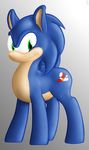  equine feral friendship_is_magic hedgehog horse male mammal mot my_little_pony pony sega solo sonic_(series) sonic_the_hedgehog 