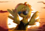  absurd_res amber_eyes clothed clothing cloud clouds equine eyewear female feral friendship_is_magic frown fur hair hi_res horse jacket mammal my_little_pony orange_hair pegasus pony shirt simple_background solo spitfire_(mlp) sun sunglasses sunset the_wonderbolts toonlancer wings wonderbolts_(mlp) yellow_fur 