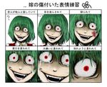  ? blood chama_(painter) crazy crazy_smile crying crying_with_eyes_open expressions fangs green_hair horror_(theme) kazami_yuuka open_mouth red_eyes short_hair tears touhou translated veins 