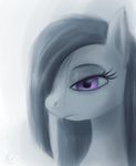  black_hair equine female friendship_is_magic grey_body grey_hair grey_theme hair horse inkie_pie_(mlp) invalid_color long_hair mammal my_little_pony plain_background pony portrait purple_eyes raikoh-illust solo spot_color white_background 