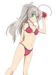  ahoge alternate_hairstyle bikini breasts flower green_eyes haiyore!_nyaruko-san long_hair nyarlathotep_(nyaruko-san) ponytail rumia_(compacthuman) silver_hair simple_background small_breasts solo swimsuit white_background 