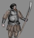  armor beard facial_hair gdane human male mammal polearm spear warrior weapon 