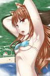  absurdres animal_ears armpits arms_behind_head beach blush breasts brown_hair cloud destruction giantess highres holo long_hair lying medium_breasts navel open_mouth red_eyes shore solo spice_and_wolf swimsuit terada_ochiko underboob water wolf_ears 