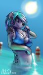  australian_shepherd bikini blue_eyes breasts buoy canine chazcatrix clothed clothing cyan_hair dog female hair hyacinth looking_at_viewer mammal multi-colored_hair sea skimpy smile solo sun swimsuit two_tone_hair water 