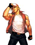  1boy cap fatal_fury hat king_of_fighters male male_focus muscle snk solo terry_bogard 