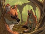  anthro canine couple dhole dholes duo forest loincloth looking_at_viewer male mammal ruin ruins scenery tree wolf wolf-nymph wood 
