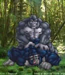  anal anal_penetration ape biceps big_muscles da_boz eyes_closed fur gay gor_(tomcat) gorilla male mammal muscles nipples nude overweight pecs penetration primate 