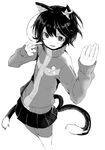  alternate_costume animal_ears bad_id bad_pixiv_id cat_ears cat_tail chen cosplay greyscale highres jacket long_sleeves miniskirt monochrome multiple_tails persona persona_4 satonaka_chie satonaka_chie_(cosplay) shindou_kamichi short_hair skirt solo sweater tail touhou track_jacket 