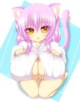  animal_ears bad_id bad_pixiv_id breasts cat_ears cat_tail covered_nipples fang highres huge_breasts kneeling open_mouth original pink_hair shia_flatpaddy shirt solo syroh tail white_shirt 