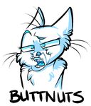  buttnuts cat english_text feline fur humor lol_comments mammal plain_background solo spam_cat spamcat text white_background white_fur 