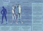  canine duo female hair long_hair male mammal model_sheet nikomi ulario ulariogryphon water_wolves wolf 