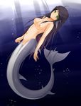  absurdres black_hair breasts copyright_request gills green_eyes highres long_hair medium_breasts mermaid midnight_(banyex) mole monster_girl nipples nude pussy solo underwater 