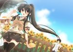  2girls :d :o alastor_(shakugan_no_shana) black_legwear blush brown_eyes brown_hair dress fence field flower flower_field food hat hat_ribbon holding jewelry long_hair multiple_girls open_mouth pendant ponytail popsicle ribbon sakai_yuuji school_uniform shakugan_no_shana shana short_hair skirt sleeveless sleeveless_dress smile sunflower tachitsu_teto thighhighs yoshida_kazumi 