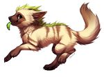  ambiguous_gender brown_eyes brown_fur canine dog falvie feral fur green_hair hair lime mammal plain_background solo white_background 