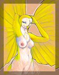  barn_owl breasts female missoro nipples nude owl solo winged_arms 
