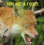  ambiguous_gender brown_eyes canine english_text fox fur humor mammal open_mouth orange_fur shock shocked shootemin surprise text transformation whiskers 