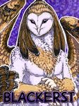  avian barn_owl blackerst male owl solo 