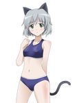  absurdres animal_ears bad_id bad_pixiv_id cat_ears green_eyes highres sanya_v_litvyak shiomoto short_hair silver_hair sports_bikini strike_witches tail transparent_background world_witches_series 