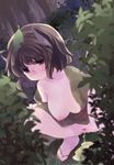  alternate_costume animal_ears breasts brown_eyes brown_hair futatsuiwa_mamizou japanese_clothes kimono large_breasts leaf leaf_on_head nipples no_bra outdoors pee peeing raccoon_ears raccoon_tail sen1986 short_hair solo squatting tail touhou 