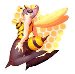  antennae ass bee_girl donguri_(acorncafe) full_body honeycomb_(pattern) honeycomb_background insect_girl insect_wings looking_back monster_girl pantyhose purple_hair purple_legwear q-bee short_hair solo vampire_(game) wings 