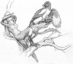  arms_behind_back avian beak branch breasts claws duo female feral greyscale gryphon hat lizanne lying lyrebird magpie monochrome nude on_back windfalconart wings 