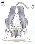  anus bent_over breasts cat feline female fur gray_fur grey_fur looking_through_legs mammal nude pubes pubic_hair pussy raised_tail risingdragon solo 