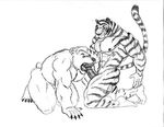  bear biceps feline fellatio fur gay kneeling male mammal muscles nipples nude oral oral_sex pecs penis polar_bear sex sudonym tiger 