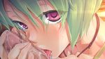  1girl bishoujo_mangekyou censored fellatio game_cg green_hair hanazato_megumi happoubi_jin licking oral tongue 