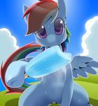  blush equine female feral friendship_is_magic hair ice_cream looking_at_viewer mammal multi-colored_hair my_little_pony navel outside oze pegasus popsicle rainbow_dash_(mlp) rainbow_hair solo sweat wings zoe_(artist) 
