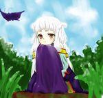  artist_request chinese_clothes code_geass pale_skin red_eyes silver_hair solo tianzi twintails 