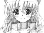  gofu greyscale klarwind lyrical_nanoha mahou_shoujo_lyrical_nanoha mahou_shoujo_lyrical_nanoha_a's monochrome shamal sketch solo traditional_media 