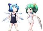  blue_hair cirno daiyousei fairy_wings green_eyes green_hair ice kusaba_(kusabashiki) multiple_girls name_tag one-piece_swimsuit ribbon school_swimsuit swimsuit touhou white_school_swimsuit white_swimsuit wings 