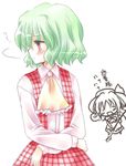  ascot chibi chibi_inset elly green_hair kazami_yuuka long_sleeves multiple_girls plaid plaid_skirt plaid_vest red_eyes shirt skirt skirt_set suzuki_ao touhou touhou_(pc-98) translated vest 