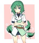  animal_ears belt blue_eyes crossed_arms dog_days dog_ears dog_girl dog_tail eclair_martinozzi green_hair highres one_eye_closed short_hair solo tail tail_wagging touryou tsundere 