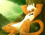  balls blonde_hair canine fluffy forest fox grass hair looking_at_viewer male mammal nipples penis peritian relaxing sheath solo tree wood 
