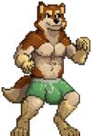  8-bit akita_inu animated biceps bounce bulge canine clothed clothing half-dressed male mammal mason muscles pecs penis pixel pixel_art solo sprite suck_mcjones topless underwear 