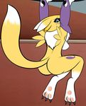  b.sting blue_eyes breasts bsting butt canine claws digimon edit female fox fur gloves hindpaw mammal markings nude pawpads paws renamon solo yellow_fur 