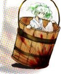  blood bucket green_hair hair_bobbles hair_ornament ikamagu in_bucket in_container kisume long_sleeves short_hair solo touhou twintails wide_sleeves wooden_bucket yellow_eyes 