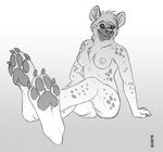  arm_support breasts claws digitigrade female greyscale hair hindpaw hyena kannos looking_at_viewer mammal monochrome nipples nude paws sitting sketch soles solo 