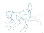  abs animal_ears beach butt canine clothing feral frisbee fur human male mammal monochrome necklace pants paws sabretoothed_ermine seaside sketch solo topless transformation wolf 