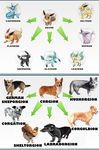  dog eevee evolution no_humans parody pokemon 