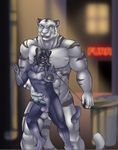  absurd_res anal anal_penetration anthro balls biceps big_muscles big_penis byakkotiggeh erection feline fur gay hi_res holding leash male mammal mouth muscles nude open panther penetration penis ritsukaxan ritsukaxan_(character) ro sex size_difference tiger white_tiger 