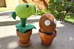  cute flora_fauna nut open_mouth peashooter plant plants plants_vs_zombies plushie plushies pot real sunlight unknown_artist video_games wall-nut wallnut 