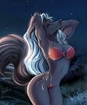  anthro arms_behind_head bikini black_nose blue_eyes breasts canine cleavage clothed clothing female fluffy_tail fur grey_fur hair long_hair looking_at_viewer magolobo mammal milf mother navel night outside parent pose skimpy sky smile solo standing stars swimsuit thighs tight_clothing white_hair wolf 