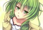  duel_monster green_eyes green_hair looking_at_viewer shintani_tsushiya short_hair solo wynn yuu-gi-ou 
