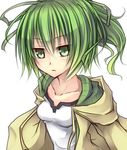  duel_monster green_eyes green_hair shintani_tsushiya simple_background solo white_background wynn yuu-gi-ou 