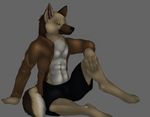  anthro brown_eyes canine chest_tuft clothed clothing dog fur german_shepherd male mammal muscles open_shirt pants pecs pose sarustreeleafwolf shirt shorts solo tuft wolf 