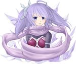  blush breasts dance_princess_of_the_ice_barrier duel_monster looking_at_viewer medium_breasts purple_eyes purple_hair purple_scarf scarf shintani_tsushiya simple_background solo white_background yuu-gi-ou 